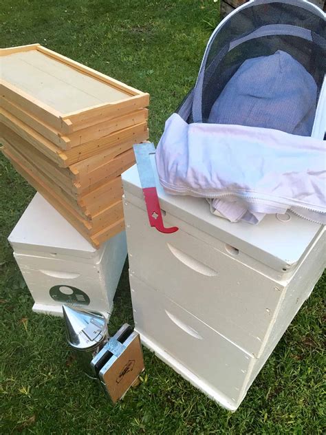 We have queen bees for sale from mid april (weather permitting) through the spring and summer until the end of september. Bee Hives For Sale - Ben Bees