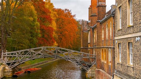 Hd Wallpaper Cambridge United Kingdom Fall Autumn Trees