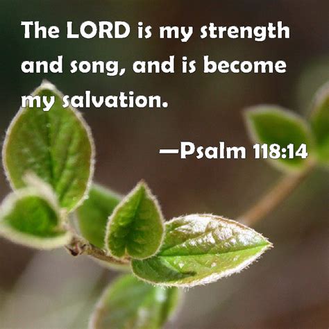 Psalm 11814 The Lord Is My Strength And Song And Is Become My Salvation