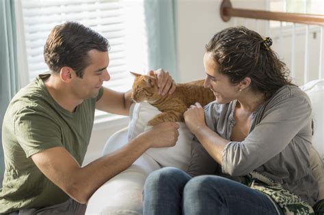 We did not find results for: Everything You Need to Know About Raising Your First Cat