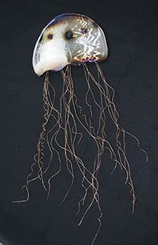 Metal kitchen wall art ukraine tv sport. Amazon.com: Jellyfish metal wall sculpture Jelly Fish Art ...