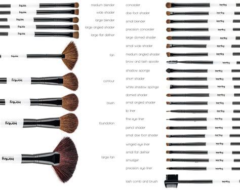 Makeup Brushes And Their Uses With Pictures Saubhaya Makeup
