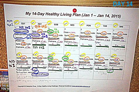 Healthy Living Challenge Roundup: Reflection, Feedback ...