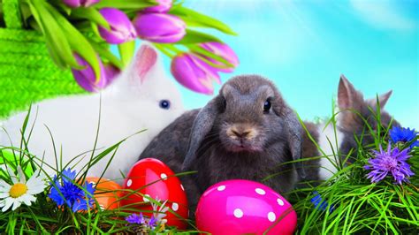 Ostern bilder kostenlos zum ausmalen malvorlagen ausmalbilder fensterbilder window color vorlagen gratis downloaden und ausdrucken. Die 56+ Besten Ostern Hintergrundbilder