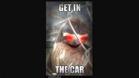 Evil Sloth Wants You To Get In The Car Youtube