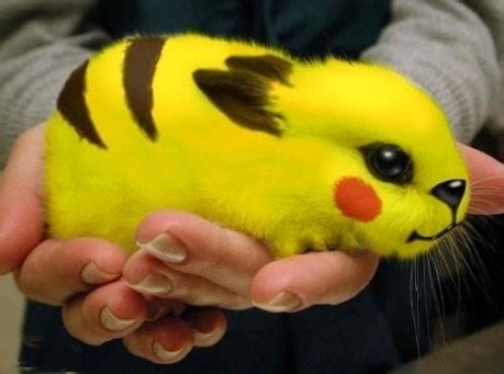 Provides local, international news, columnists and letters to editors. Pokemon Dunia Realiti (10 Gambar) - CAMPUROJAK