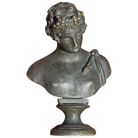 Bronze Bust of Narcissus 19th Century Grand Tour | Famous sculptures, Bust sculpture, Narcissus