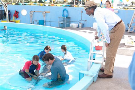 The sequel to the heartwarming and inspirational movie. Dolphin Tale | Teaser Trailer
