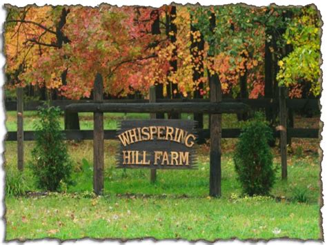 Whispering Hill Farm Streaming By MareWatchers