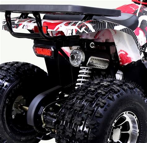 Tao Tao Raptor 125cc Atv Automatic With Reverse Upgraded Swimarm