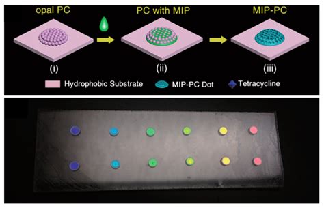 Molecular Imprinted Polymers Coupled To Photonic Structures In