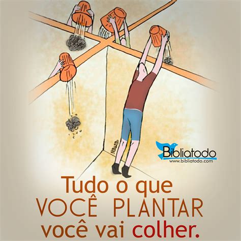 Tudo Que Você Planta Você Colhe Educabrilha