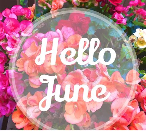 Hello June Images Wishes Oppidan Library