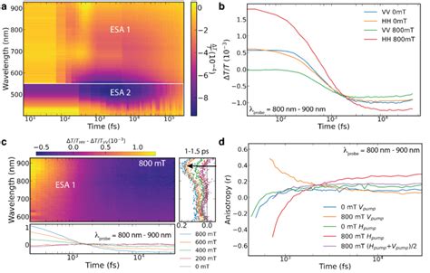 photoexcited dipole relaxation dynamics a broadband transient download scientific diagram