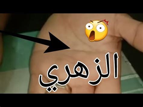 87 ] عبد الله قال : أسرار عجيبة عن الانسان الزهري ﻭﻣﺎ ﻻ ﺗﻌﺮﻓﻪ ﻋﻨﻪ - YouTube