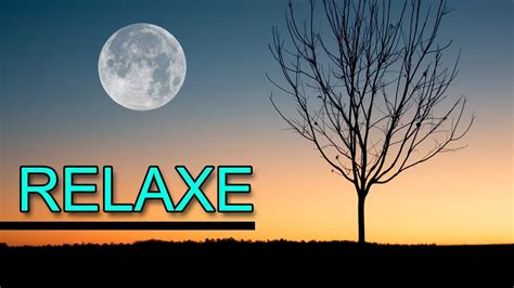 128 likes · 7 talking about this. MUSICA PARA DORMIR 🎧 MUSICAS RELAXANTES 🎧 | Música ...