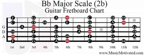 Bb Major scale charts for Guitar and Bass 🎸 | Major scale, Music theory