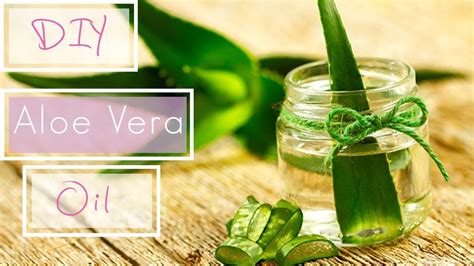 First of all, an unhealthy scalp is. How to make DIY Aloe Vera Oil for Fast Hair Growth | Hair ...