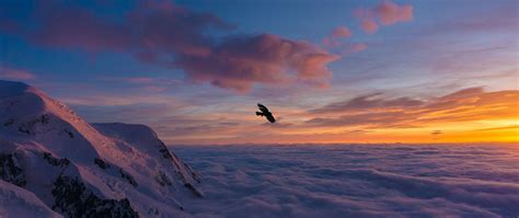 Download Wallpaper 2560x1080 Bird Wings Clouds Flight Sunset Dual