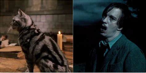 Harry Potter What Is The Difference Between An Animagus And A Werewolf