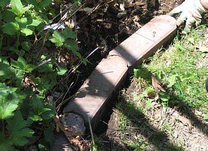 Maybe you would like to learn more about one of these? Install Edging Pavers | landscape edging - kittycooks