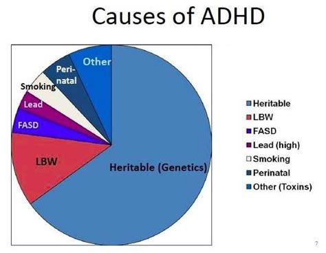 Causes Of Adhd In Children What Causes Adhd And Adhd Symptoms