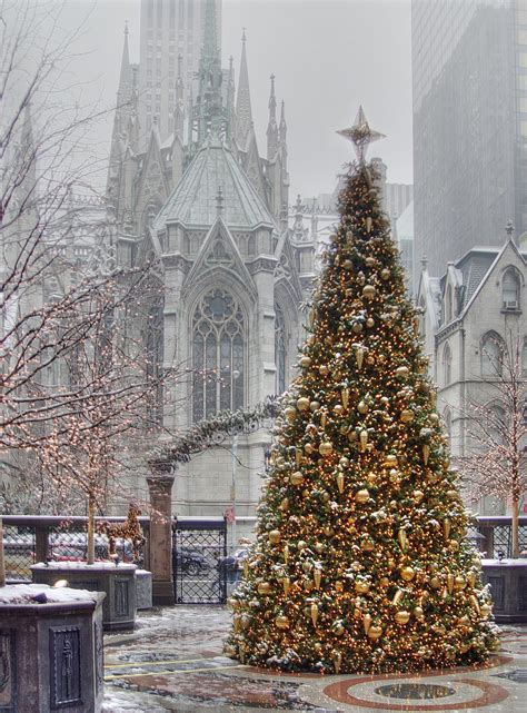 Maybe you would like to learn more about one of these? Miss the Shopping Mayhem in NYC This Holiday Season ...