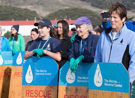 The Marine Mammal Center In Sausalito In Immediate Need Of Volunteers