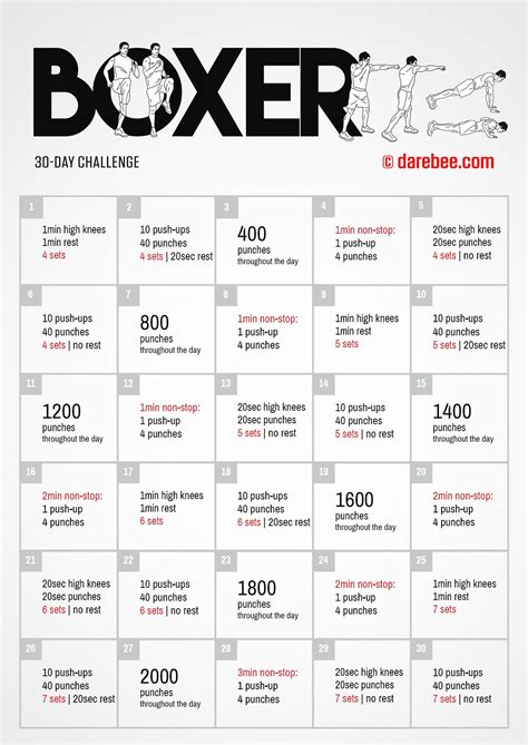30-Day Boxer Challenge by DAREBEE More Boxer Workout, Boxing Training