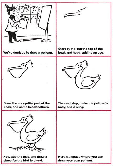 Make sure you get them both right. How to Draw a Pelican | Purple Kitty