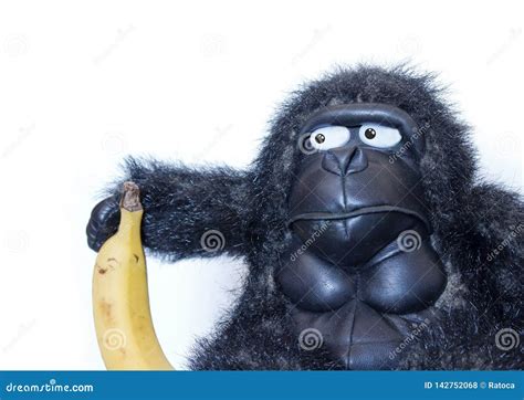 Funny Gorilla With Banana Stock Photo Image Of Creative 142752068