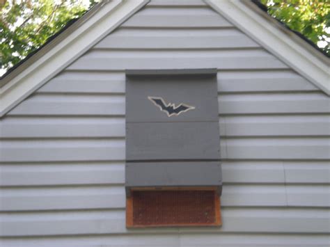 Marash Girl Bat Houses Not Bats Combat Mosquitos