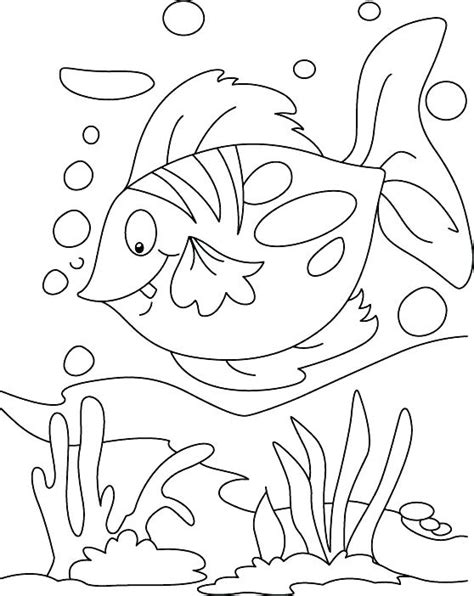 Maybe you would like to learn more about one of these? Rainbow Fish Coloring Page at GetColorings.com | Free ...