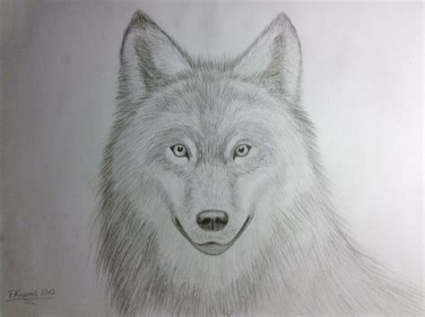Gallery For Realistic Drawings Of Wolves