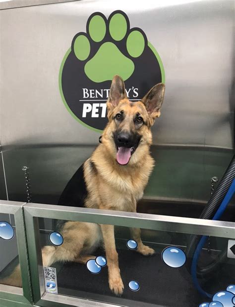 Find a petco pet store near you for all of your animal needs. Dog wash | Dog daycare, Dog training near me, Dog boarding ...