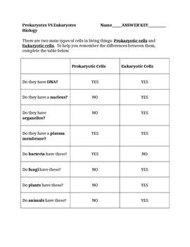 We also spent quite a bit of time understanding the difference between prokaryotic cells (with no nucleus, like bacteria) and eukaryotic cells (that have a nucleus. Prokaryotes VS Eukaryotes Graphic Organizer by April Koch ...