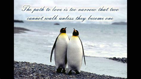You expect me to believe that? Cute Penguin Quotes - YouTube