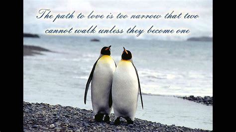 Penguin family quote watercolor art print wedding gift nursery wall art giclee wall decor art home decor wall hanging baby shower no 663. Cute Penguin Quotes - YouTube