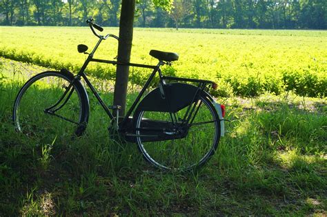 Wanneer is hemelvaartsdag in 2021? Hemelvaartsdag onopgemerkt voorbij gegaan | NederlandFeest.nl