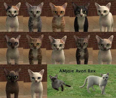 33% less wait time for downloads. Mod The Sims - AMjoie Cat Breeds (More Than Two Dozen)