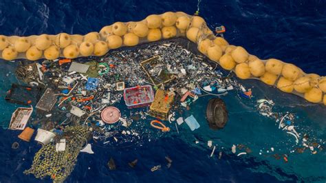 Pacific Ocean Garbage Patch Size Hot Sex Picture