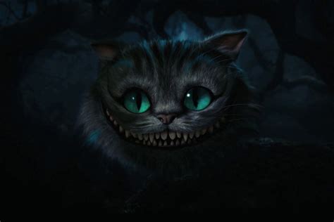 The Cheshire Cat The Cheshire Cat X The Cheshire Cat Photo Fanpop