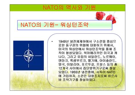 우리가 언론과 영화를 통해 자주 접했던 대표적인 군사용 프레데터는 1995년 코소보 사태 당시 첫 선을 보였습니다. 국제기구론 NATO와 코소보사태 NATO 확장의 장단점 분석 - 레포트샵