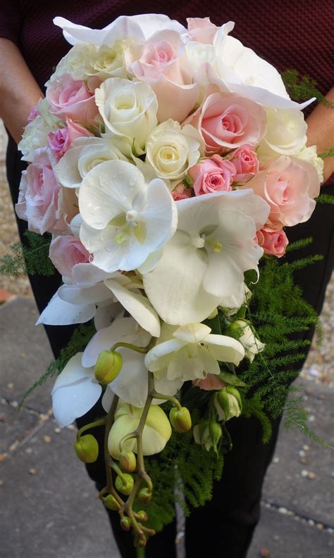 White wedding bouquets bride bouquets flower bouquet wedding bouquet en cascade orchid bouquet phalaenopsis orchid wedding designs wedding styles wedding ideas. Cascading bridal bouquet of Phalaenopsis Orchids with pink ...