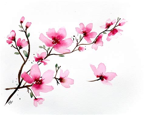 Spring Cherry Blossom Branch Watercolor Print Of Original Etsy