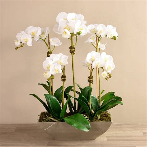 Contemporary Artificial Orchid Arrangement Bloomr