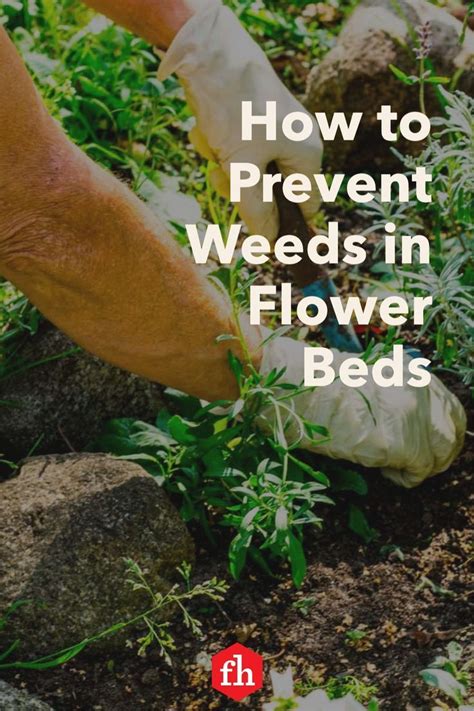 How To Prevent Weeds In Flower Beds Artofit