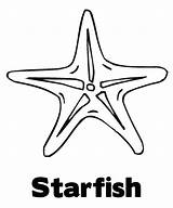 Coloring Starfish Star Sea Drawing Line Fish Healthy Kidsplaycolor Printable Getcolorings Getdrawings sketch template