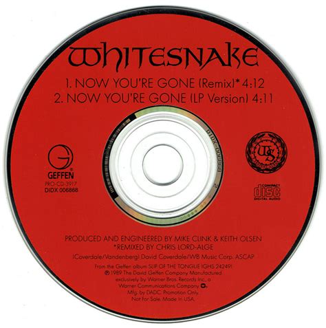 Whitesnake Now Youre Gone 1989 Cd Discogs