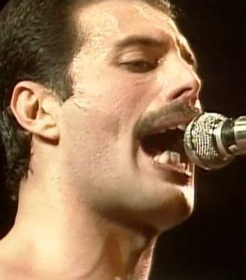 The new pictures are among a series of photographs. F͠R͠E͠D͠D͠I͠E͠ M͠E͠R͠C͠U͠R͠Y͠ | Freddie Mercury of Queen ...